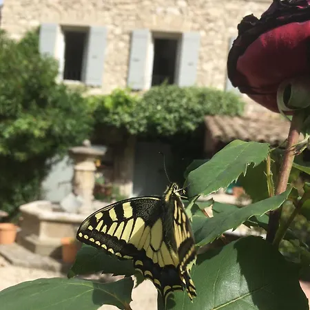 La Figuiere De Vaucluse Bed & Breakfast 2*